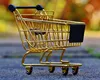 Câți bani au cheltuit românii la cumpărături după scumpiri. Date de ultimă oră de la INS