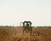 Românii care au un hectar de teren arabil pot primi 10.000 de euro pentru a face o pădure
