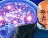 Devii ceea ce gândești? Răspunsul dat de profesorul Dumitru Constantin Dulcan: „Fiecare gând are o frecvență, o energie”
