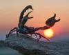 Horoscopul tău pentru sezonul SCORPIONULUI (22 octombrie – 20 noiembrie 2025). Portal de mister și transformări interioare, bântuie Mercur retrograd