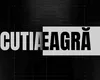 EXCLUSIV CUTIA NEAGRĂ. Anchetă explozivă, cum am important petrolul Rusiei şi sub embargo