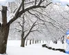 Adio toamnă, gerul vine cu pași repezi: Iată când va fi prima temperatură negativă din București, conform Accuweather