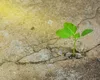 4 ZODII care NU pot fi oprite în OCTOMBRIE 2025. Ce rol are prezența focosului Marte în secretosul Scorpion