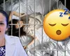 Somnul judecătorilor naşte monştri, cum a scăpat Alina Bica de închisoare! Nopţiele petrecute în propria casă din Italia au fost asimilate de magistraţii români cu detenţia grea de penitenciar