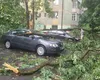 Dezastru făcut de vânt în București. Zeci de mașini au fost avariate de copaci căzuți