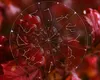 Noroc cu carul în ultimele două săptămâni din octombrie pentru două zodii! Eforturile nativilor sunt răsplătite