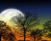 Luna Plină a toamnei astronomice aduce energie în contrast cu vibrațiile actuale ale sezonului Balanței, care pune accent pe diplomație, echilibru și armonie