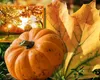 Prognoza meteo. ANM anunţă inversiune termică înainte de un nou ciclon polar. Temperaturile urcă la 25 de grade Celsius!
