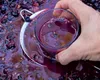 Cum păstrezi corect mustul, astfel încât să nu se transforme rapid în vin. Trucul care te ajută să te bucuri mai mult de băutura vedetă a toamnei