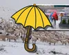 Prognoza meteo. Vortexul aduce temperaturi siberiene la munte, se vor resimţi MINUS 20 de grade Celsius. Ploi de Cod roşu timp de 24 de ore în restul ţării!