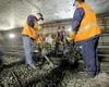 Schimbări importante pentru angajații care lucrează în ture sau de noapte. Noi reguli pentru libere