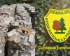 ROMSILVA distribuie populației 2 milioane de metri cubi de lemne pentru foc. Românii vor avea căldură în case în iarna lui 2025, iar angajații regiei oferă și transport la domiciliu și tăierea lemnelor