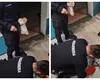 Imagini HALUCINANTE în centrul Bucureştiului. Un piton a evadat chiar din vecinătatea Catedralei Neamului VIDEO