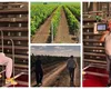 Noua afacere a familiei Simonei Halep. Business-ul este condus de tatăl sportivei