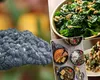 Ce este varza neagră și de ce trebuie să o adaugi pe lista alimentelor în sezonul rece. Rețetele pe care le poți pregăti acasă