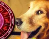 Zeii s-au decis: Trei zodii au tras lozul câştigător al destinului. În următorii cinci ani îi așteaptă noroc deplin, bani fără număr și fericire în doi