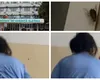Condiții horror la spitalul din Slatina: gândaci în saloane, toalete de nefolosit. Pacienții vânează insectele cu papucul!