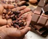 Piața dulciurilor, puternic afectată de scumpirea boabelor de cacao. Ciocolata, tot mai des înlocuită cu creme de fructe