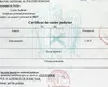 Culmea culmilor! Cazierul judiciar eliberat online de MAI nu este recunoscut la ghișeul de permise auto, ci trebuie trimis pe e-mail