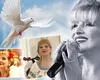 Cum arată mormântul Ilenei Ciuculete la aproape 9 ani de la moartea artistei: „Când râdea Ileana, ieșea soarele din nori”