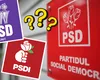 Una dintre clonele PSD care le-a „furat” voturile la alegerile parlamentare se întoarce pentru runda a doua