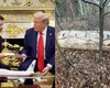 Ucraina a lansat primul atac cu rachete ATACMS în Rusia de când Donald Trump este președinte SUA