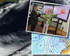 EXCLUSIV Anticiclon puternic peste România, în următoarele ore. Fenomenul meteo blochează venirea iernii, temperaturi de primăvară în luna lui Moș Crăciun. Florinela Georgescu (ANM): „Valori mai ridicate decât ar fi firesc”