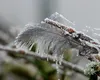 Meteorologii Accuweather anunță ger de crapă pietrele. Pe ce dată vor fi -17 grade în România
