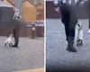 VIDEO – Scene memorabile la un Târg de Crăciun: Un bărbat a ieșit la plimbare cu un ieduț adorabil