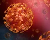 Alertă sanitară în Europa. Un virus mai letal decât COVID a fost confirmat în Franța. Avertismentul OMS: „Unul din trei pacienți moare”