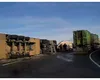 Un TIR plin cu porci vii s-a răsturnat pe un drum european din Cluj. Medicii i-au acordat șoferului primul ajutor