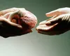 Aproape 300 de transplanturi au fost făcute anul acesta, până la 1 decembrie