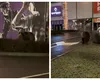 Imagini halucinante! Urşii au venit să vadă luminiţele la Braşov VIDEO