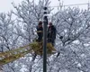 Ministrul Energiei a convocat Comandamentul de iarnă. Prognoza anunţă ger în următoarele zile