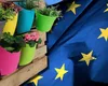 Ghivecele vor dispărea de pe piață! Noile reguli pregătite de UE