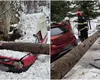 Brad prăbuşit peste o maşină parcată, în Argeş. Copacul a cedat sub greutatea zăpezii acumulate pe ramuri