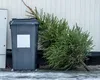 Ce poți face cu bradul natural după ce trec sărbătorile. Idei pentru a-l reutiliza fără risipă