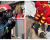 Cățel salvat în ultima clipă de pompieri dintr-o bucătărie în flăcări. Un paramedic SMURD i-a acordat primul ajutor