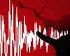 Cutremur cu magnitudinea 2,9 marți dimineața! Unde s-a produs seismul
