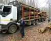 Ministrul Mediului anunţă actualizarea aplicaţiei SUMAL, care împiedică furtul de lemne
