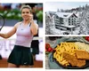 Ce prețuri are Sinoma Halep la restaurantul hotelului din Poiana Brașov. Cât costă o porție de cartofi prăjiți cu șnițel