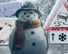 Prognoza meteo 3 ianuarie. Ninsorile și viscolul se extind în România