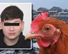 Cum au încercat cei doi băieți din Timiş să acopere că l-au omorât pe colegul lor Mario: Au taiat o găină să justifice sângele din fața casei, iar a doua zi au mers la școală ca și cum nimic nu s-a întâmplat