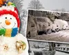 Prognoza meteo 11 ianuarie 2026. Meteorologii anunță ger în toată țara și ninsori în mai multe zone, inclusiv la București