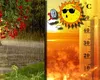 Cum vor arăta temperaturile în vara anului 2026. Prima prognoză emisă de meteorologi