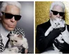 Pisica lui Karl Lagerfeld riscă să rămână săracă. Testamentul designerului a fost contestat