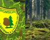 Romsilva câștigă definitiv procesul pentru 43.227 hectare de pădure în Bacău, ce valorează 300 de milioane de euro. Suprafețele retrocedate ilegal rămân în proprietatea statului