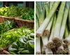 Primele trufandale românești au apărut deja în piețe. Cât costă o legătură de ceapă verde