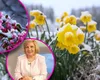 Elena Mateescu (ANM) anunţă ger de -10 grade de luni şi zăpada mieilor de Mărţişor: „Nu excludem ninsori şi în martie”