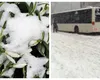 Se întorc ninsorile în România. Câte zile va ninge în București, în luna martie. Date de ultimă oră de la meteorologi